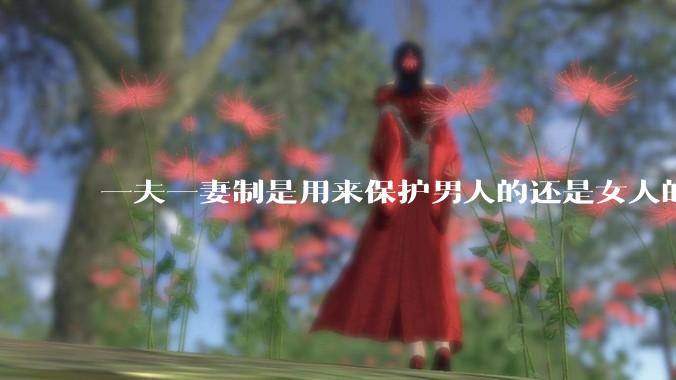 一夫一妻制是用来保护男人的还是女人的?
