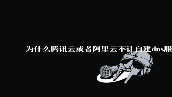 为什么腾讯云或者阿里云不让自建dns服务器?