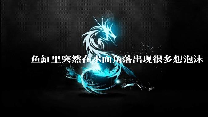 鱼缸里突然在水面角落出现很多想泡沫一样的气泡是怎么回事？
