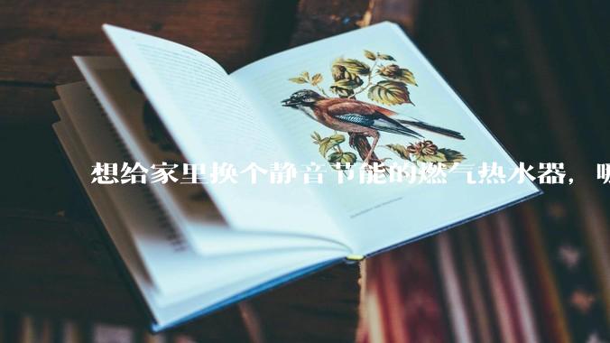 想给家里换个静音节能的燃气热水器，哪个品牌比较好？